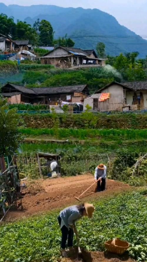 乡下生活汉化版下载地址:沉浸式田园生活,精彩剧情等你解锁! 乡下生活汉化版下载地址:沉浸式田园生活,精彩剧情等你解锁!