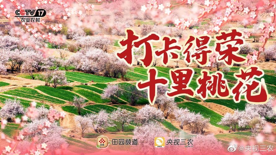 乡村改造安卓汉化资源分享：精彩内容等你解锁