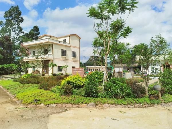 乡村改造最新成果：乡村面貌焕然一新