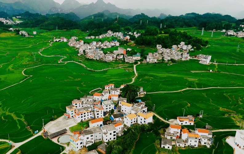 乡村改造最新成果：乡村面貌焕然一新