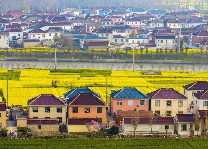 乡村改造最新成果：乡村面貌焕然一新