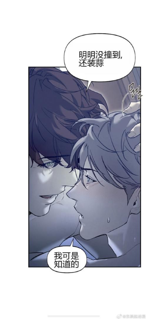 书呆子与蜂王最新资源地址分享，快速下载无压力！