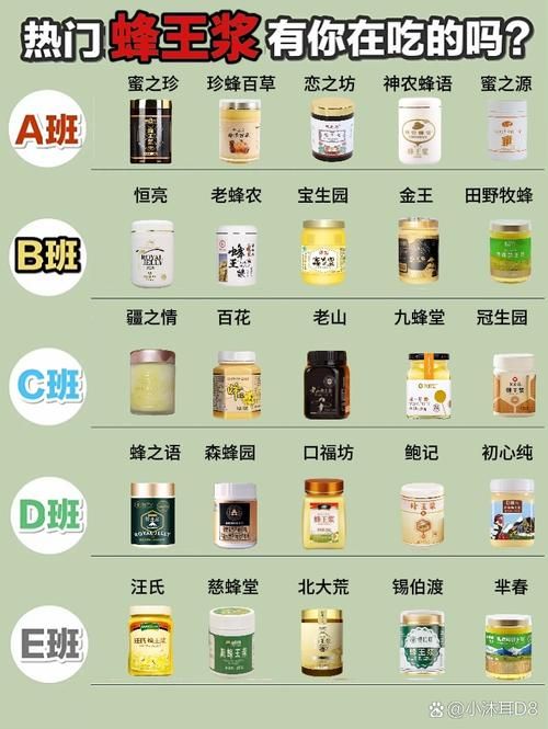 书呆子与蜂王游戏下载教程：小白也能轻松搞定