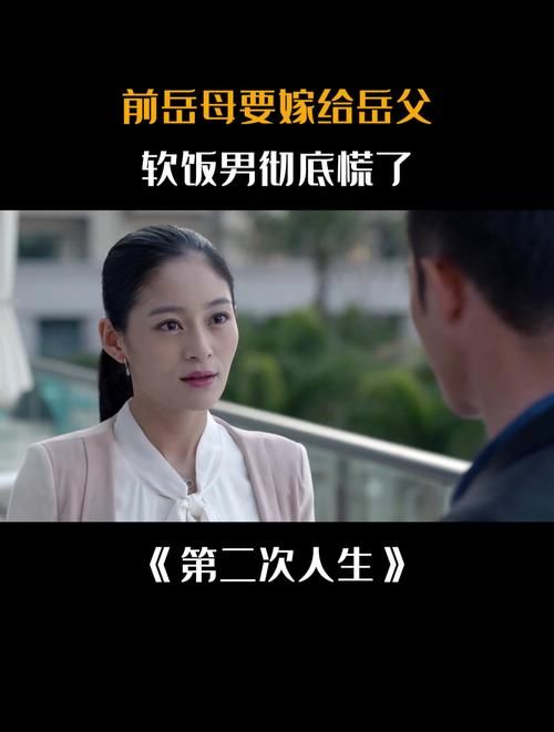 二次人生最新版本下载：剧情介绍及演员表