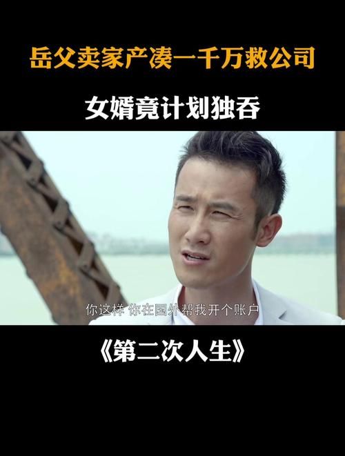 二次人生版本大全：高清完整版在线观看