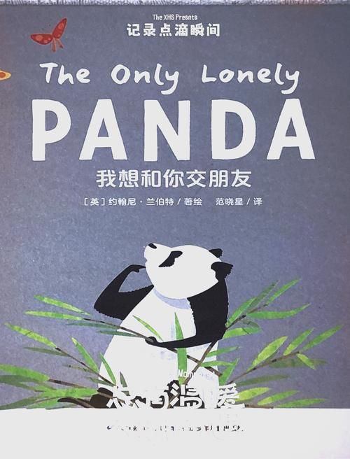 交到100个朋友汉化版下载：轻松交友，趣味无限！