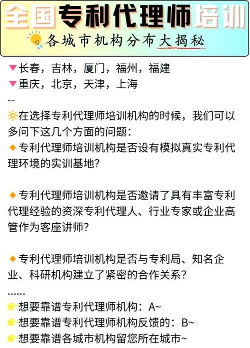 代理机构版本大全：权威名单、评级及联系方式一览