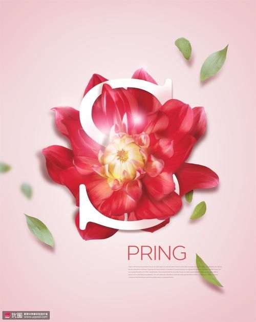 优艳之花安卓版下载:体验不一样的精彩 优艳之花安卓版下载:体验不一样的精彩