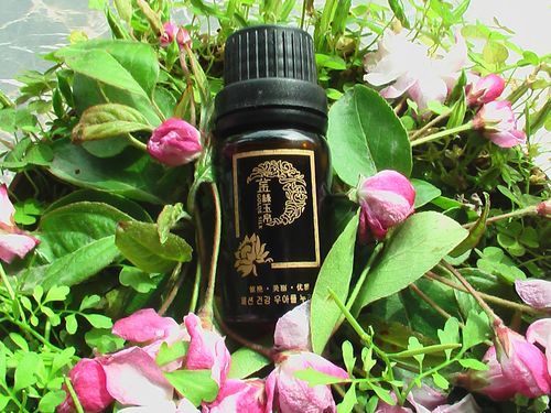 优艳之花官方网站：便捷的在线购物和售后服务