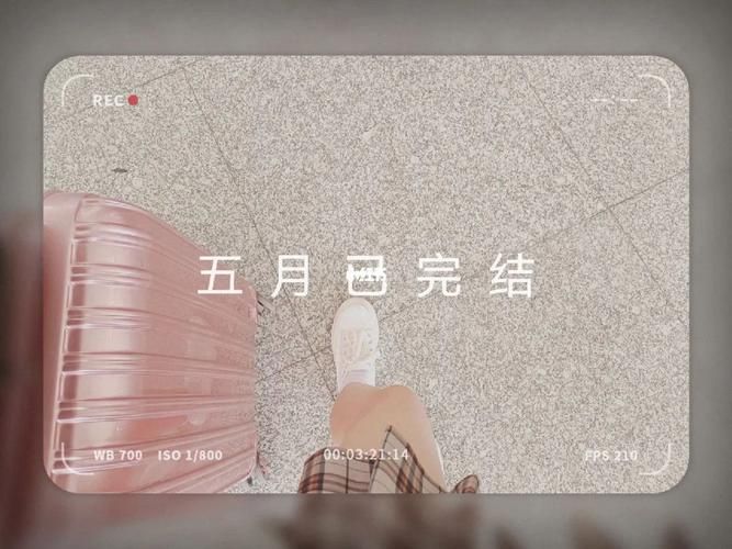 你与我的六月在哪下载？分享靠谱下载途径！