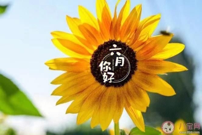 你与我的六月更新地址:六月更新,地址变更,请注意查收! 你与我的六月更新地址:六月更新,地址变更,请注意查收!