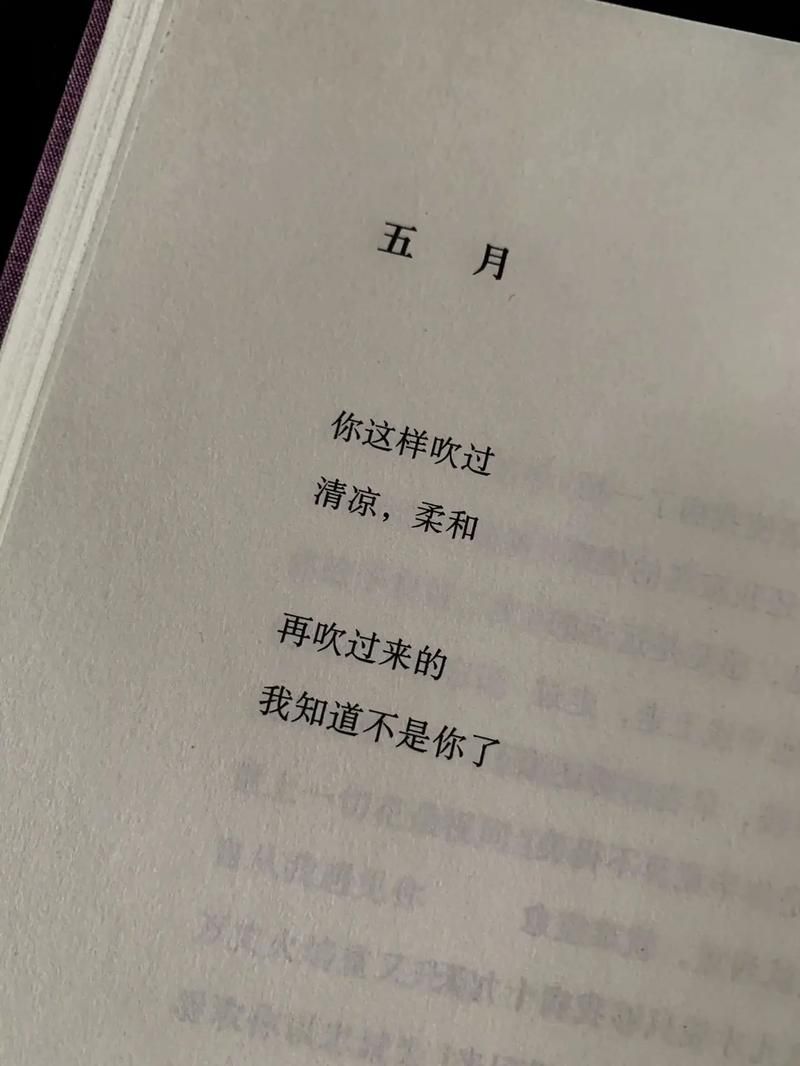 你与我的六月最新版本下载：快速上手指南及常见问题