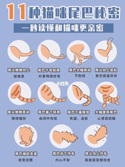 你与我的六月汉化版：最新更新内容一览，超详细解读！