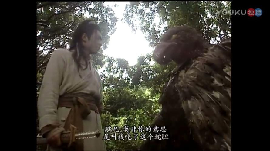 你玩过半妖忍少女杨过游戏吗？超好玩推荐！