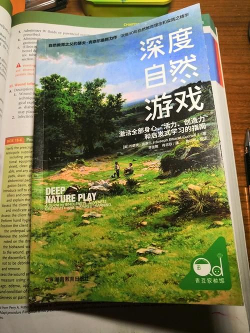 你玩过魅魔少女杨过游戏吗？深度游戏测评来了！