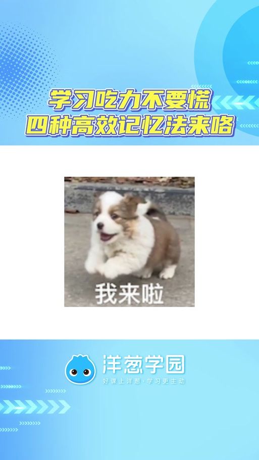 你还在找盗摄学园更新地址吗？这里有你想要的