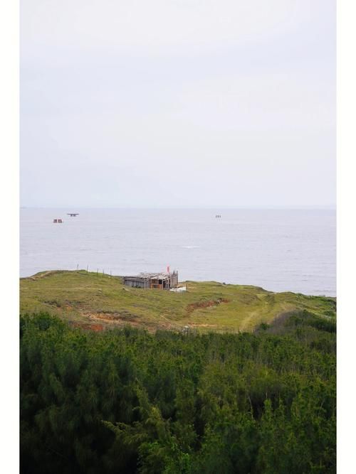 保利托农游戏攻略秘籍：轻松玩转岛屿生活