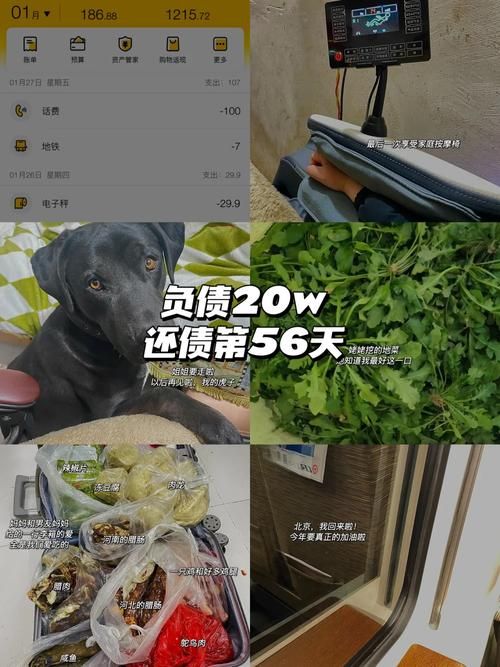 债务地狱官方正式版下载最新版:轻松理财,告别债务,下载最新版软件体验 债务地狱官方正式版下载最新版:轻松理财,告别债务,下载最新版软件体验