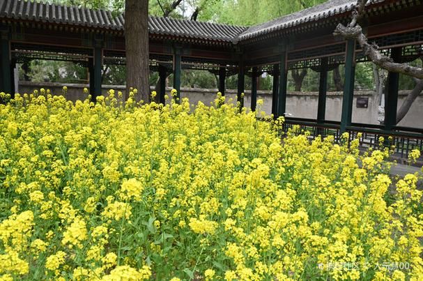 做怡红院的主人更新地址在哪?快速找到最新入口! 做怡红院的主人更新地址在哪?快速找到最新入口!