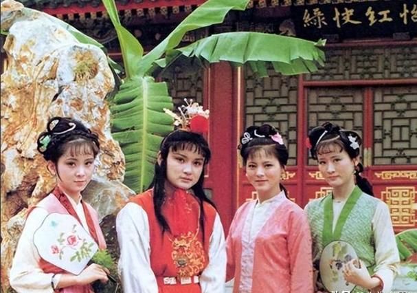 做怡红院的主人最新版本下载：开启你的红楼梦之旅