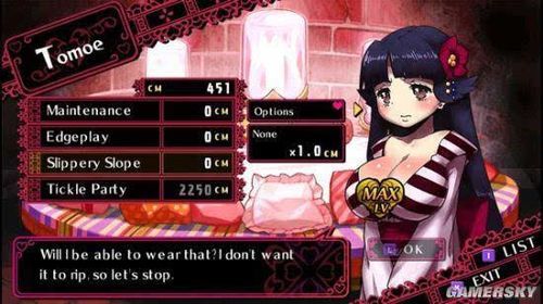 做怡红院的主人绅士游戏下载攻略大全