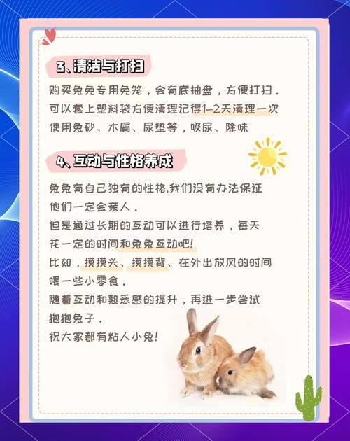 兔兔秘密花园游戏攻略：高效率提升好感度的实用指南