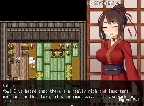 入门忍堕/女忍调教官网：简单易懂的游戏攻略