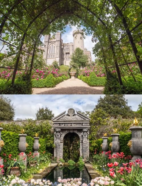 全网最全迪米特雷斯库城堡版本大全，带你探索城堡秘密！