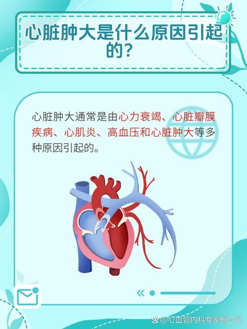 关注心脏健康：最新研究揭示心脏问题的成因与防治