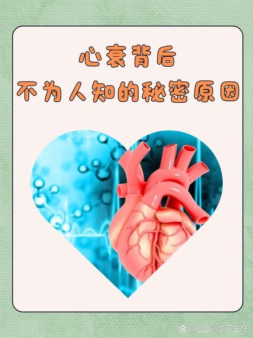 关注心脏健康：最新研究揭示心脏问题的成因与防治