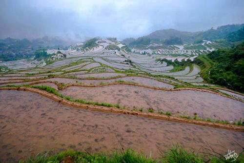 农民的追求安卓版下载：体验田园生活与冒险之旅