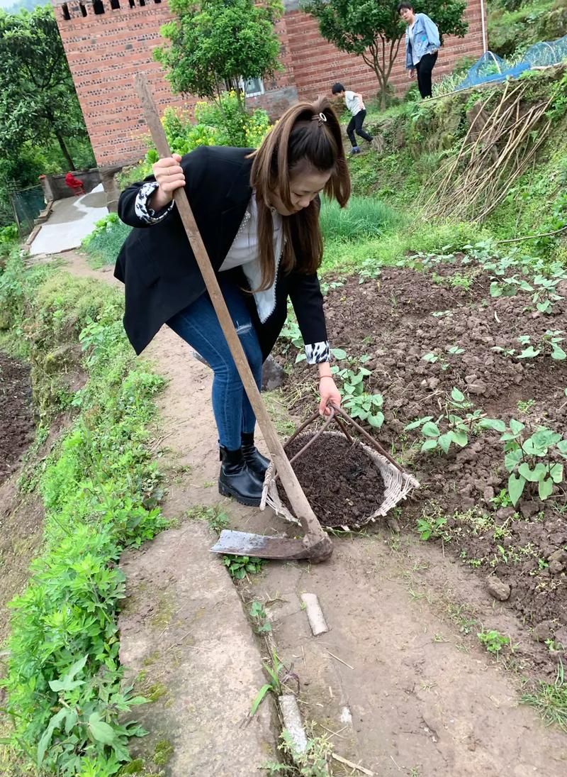 农民的追求安卓版下载：体验田园生活与冒险之旅