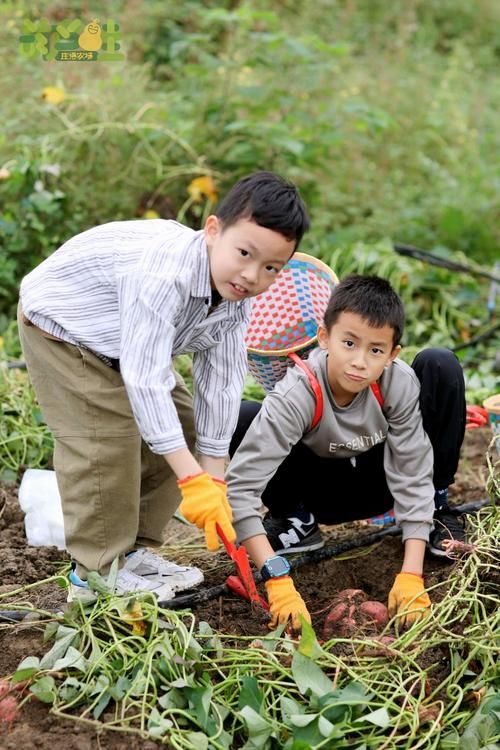 农民的追求最新版本下载：体验田园生活乐趣