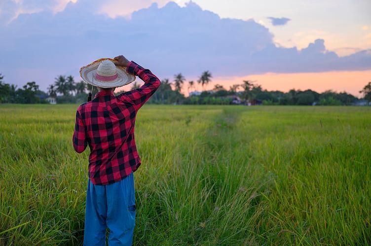 农民的追求最新版本下载：体验田园生活乐趣