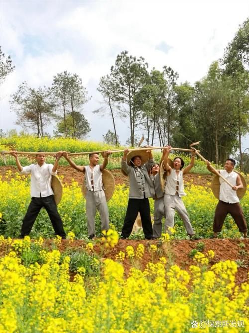 农民的追求最新版本下载：体验田园生活乐趣