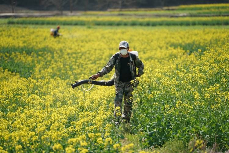 农民的追求最新版本下载：体验田园生活乐趣