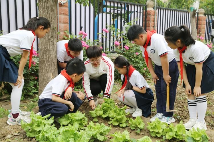 农民的追求最新版本下载：体验田园生活乐趣