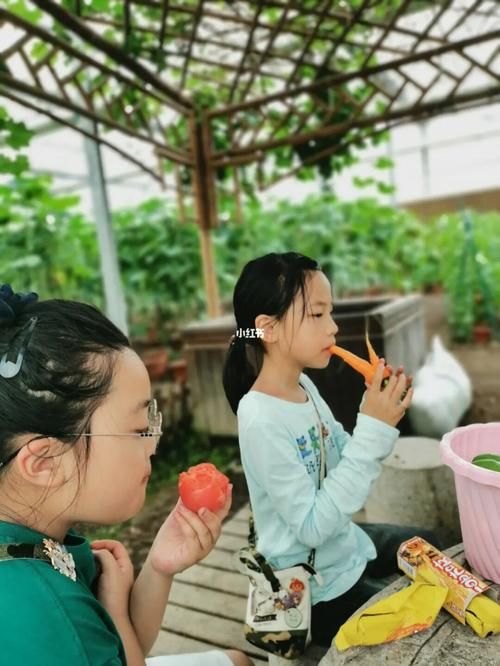 农民的追求绅士游戏：体验不一样的田园生活