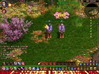 凤凰V11外传Wet游戏官网：正版游戏下载与玩家评价