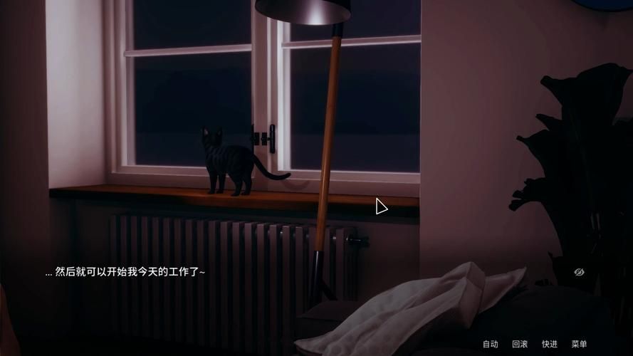 凤凰V11外传Wet版本大全：哪个版本最好玩？