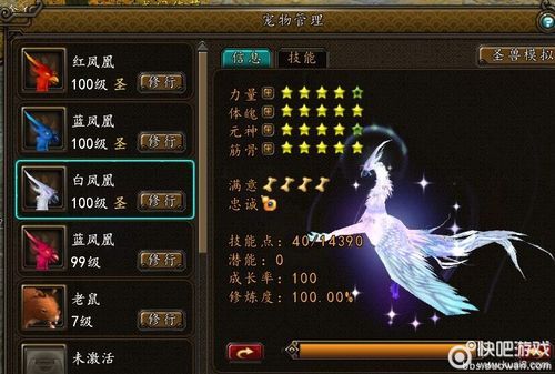 凤凰V12杨过游戏：玩家真实体验与评价汇总