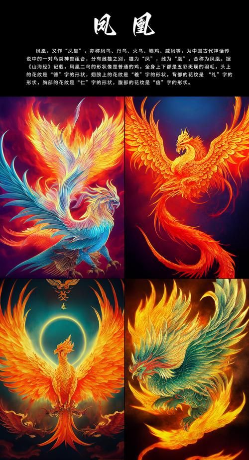 凤凰V12版本大全：PC电脑版和安卓手机版下载