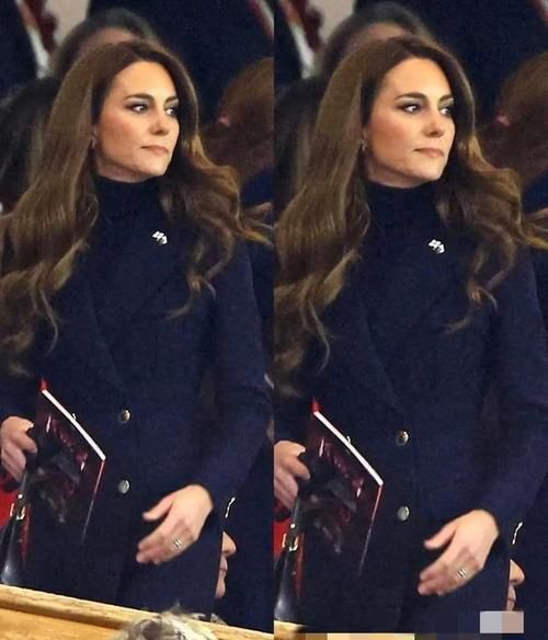 凯特官网：进入凯特世界，发现更多惊喜与可能