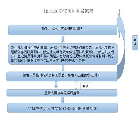 出生证明官方正式版下载最新版：快速获取你的电子出生证明