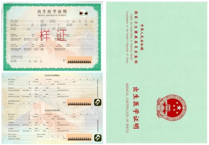 出生证明官方正式版下载最新版：快速获取你的电子出生证明