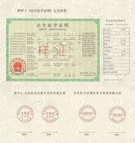 出生证明最新版本号是多少？避免用旧版本