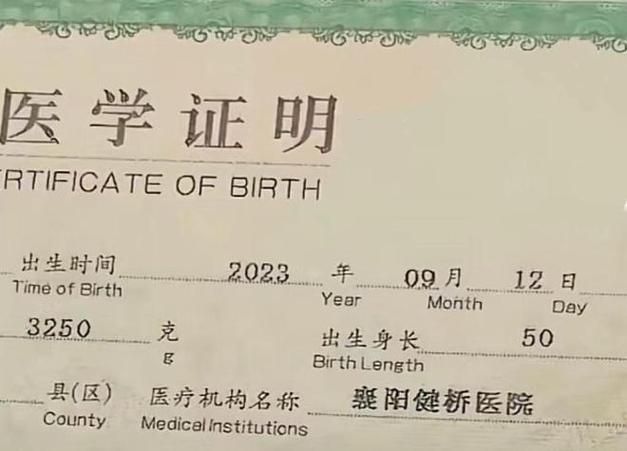 出生证明最新版本号是多少？避免用旧版本