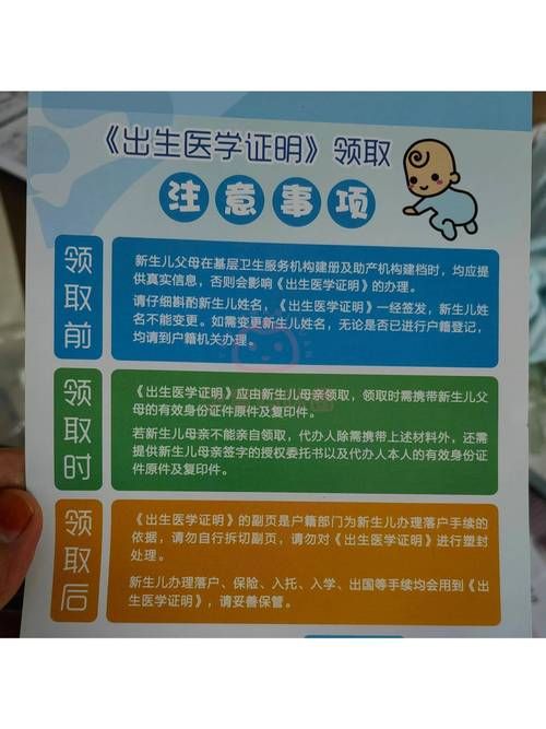 出生证明汉化版下载：快速获取游戏资源，轻松畅玩