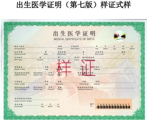 出生证明汉化版下载：快速获取游戏资源，轻松畅玩