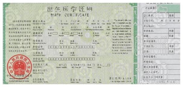 出生证明汉化版下载：快速获取游戏资源，轻松畅玩